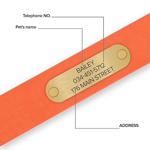 Regal Dog Products Large Orange Dog Collar with Custom Engraved Name Plate - Custom Fit, Resistant, Easy to Clean Biothane Waterproof Personalized Dog Collars with Double Buckle & Center Ring