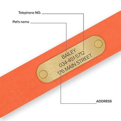 Regal Dog Products Large Orange Dog Collar with Custom Engraved Name Plate - Custom Fit, Resistant, Easy to Clean Biothane Waterproof Personalized Dog Collars with Double Buckle & Center Ring