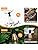 Vocevos Outdoor String Lights, 50FT Heavy Duty Patio String Lights with 26 LED Dimmable Plastic Shatterproof Bulbs, ST38 0.6W Waterproof Light Strings for Backyard, Porch, Bistro, Cafe, 2700K, E12
