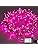 ILLUMINEW 300 Led Pink String Lights Outdoor Waterproof Valentines Day Decorations, 108 Ft Pink Led String Lights for Bedroom, 8 Modes Plug in Fairy Lights for Outside, Pink Room Decor