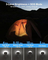 Flyhoom USB Rechargeable Light Bulbs with Remote, 4 Light Modes + Timer, 1200 mAh Rechargeable Battery, Portable LED Tent Light Bulbs for Home Emergency Camping Tent (Pack of 2)