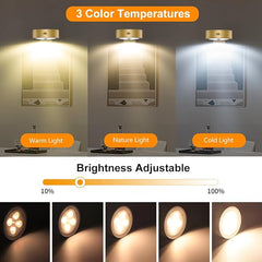 3Pack Picture Light Battery Operated Painting Lights for Wall Wireless Magnetic Display Art Light with Remote Controls,Dimmable&Timer Portrait Light for Art Frame Artworking,Wall Decor Puck Light-Gold