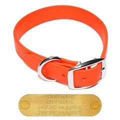 Regal Dog Products Large Orange Waterproof Dog Collars with Custom Engraved Name Plate | Vinyl Coated, Anti, Easy to Clean Personalized Biothane Dog Collar - Other Sizes for Small & Medium Dogs