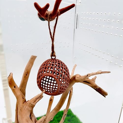 SPANSEE Jumping Spider Enclosure with Magnetic Antler, 3D Printed Resin Spider Hideout Nest with Simulated Antler, Jumping Spider Habitat Cute Decoration for Terrarium, Small Pets Toy, Brown