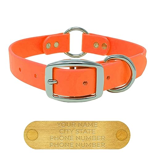 Regal Dog Products Large Orange Dog Collar with Custom Engraved Name Plate - Custom Fit, Resistant, Easy to Clean Biothane Waterproof Personalized Dog Collars with Double Buckle & Center Ring