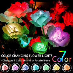 TONULAX Solar Garden Lights - Newest Version Solar Lights Outdoor, 7-Color Changing Rose Lights for Yard, Decoration, Enlarged Solar Panel, More Realistic Rose Flower (2 Packs)