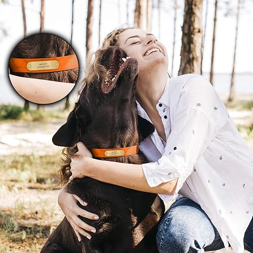 Regal Dog Products Large Orange Dog Collar with Custom Engraved Name Plate - Custom Fit, Resistant, Easy to Clean Biothane Waterproof Personalized Dog Collars with Double Buckle & Center Ring